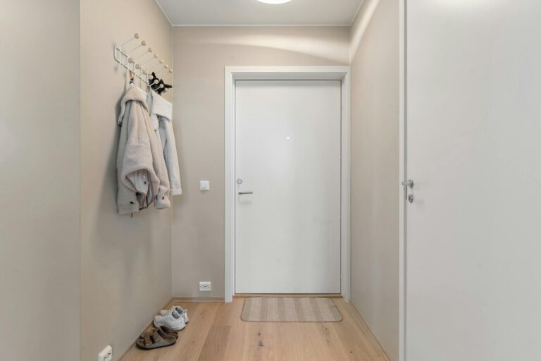 A minimalist apartment entrance showcasing a clean design with wooden flooring and coat hooks.